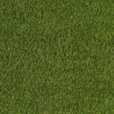 Zoom 1 82034 Zoom 1 82034