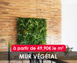 Image Catégorie 9