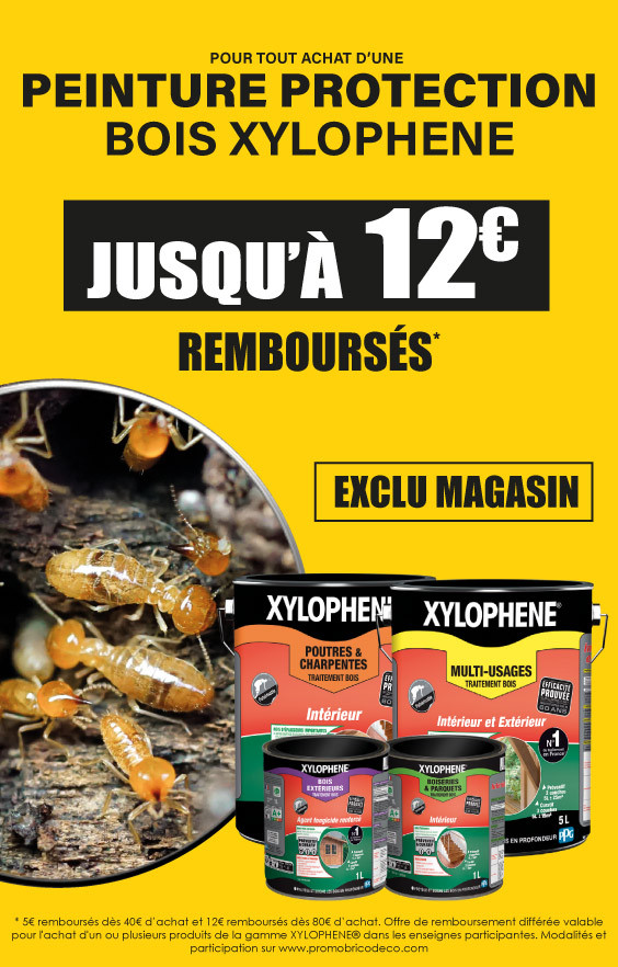 Peinture Protection Bois