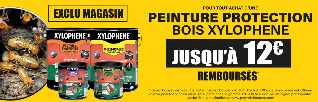Peinture Protection Bois