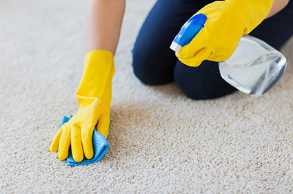 Comment nettoyer son tapis simplement ?  Avec Décor Discount
