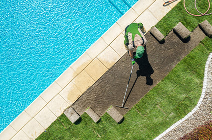 Quel type de gazon choisir autour de sa piscine ?